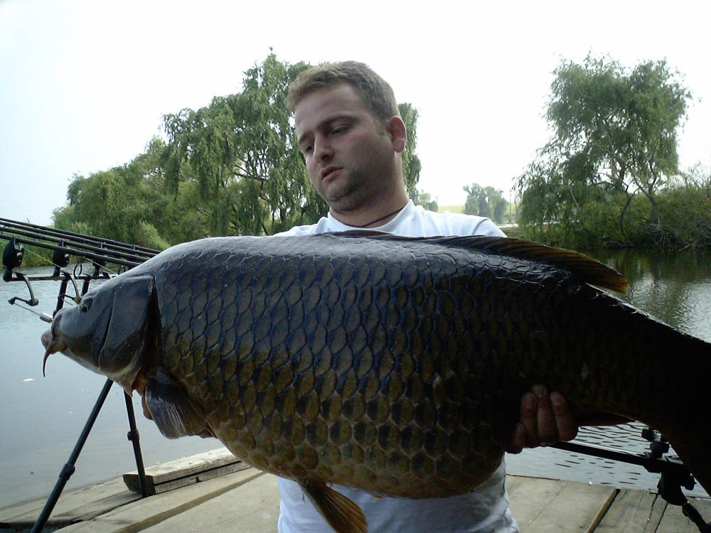 BRIGADA DIVERSE  - IMGA0445.JPG